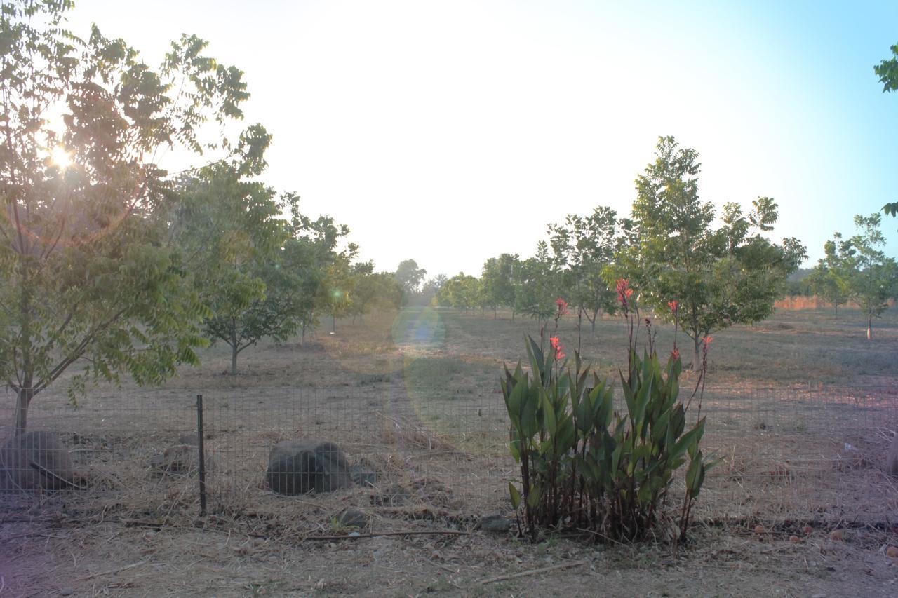 Hosting Orchard Beit Hillel Exterior photo
